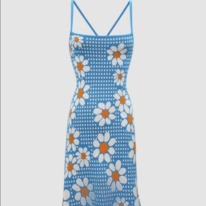CIDER blue daisy dress